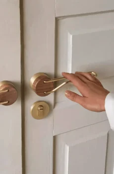 High-end Brass Black Walnut Door Lock Creative Door Handle Interior Mute Door Lock